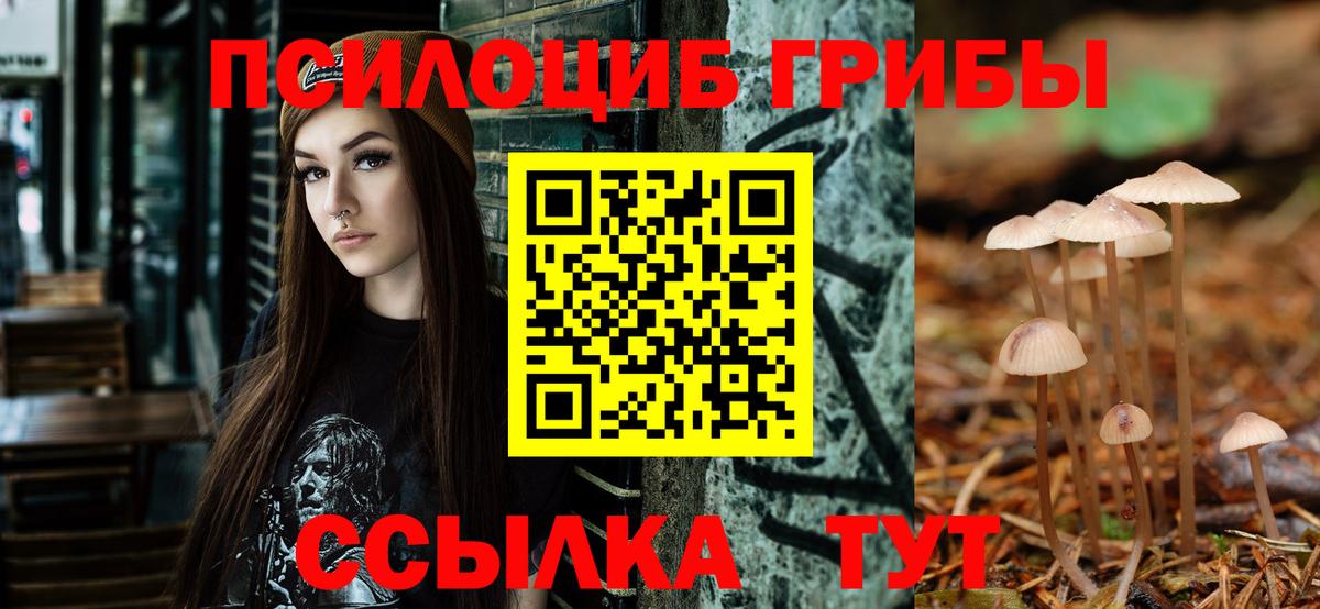 Чапаевск  Галлюциногенные грибы Psilocybe  Вход с VPN 